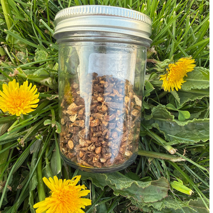 Dandelion Tincture Kit